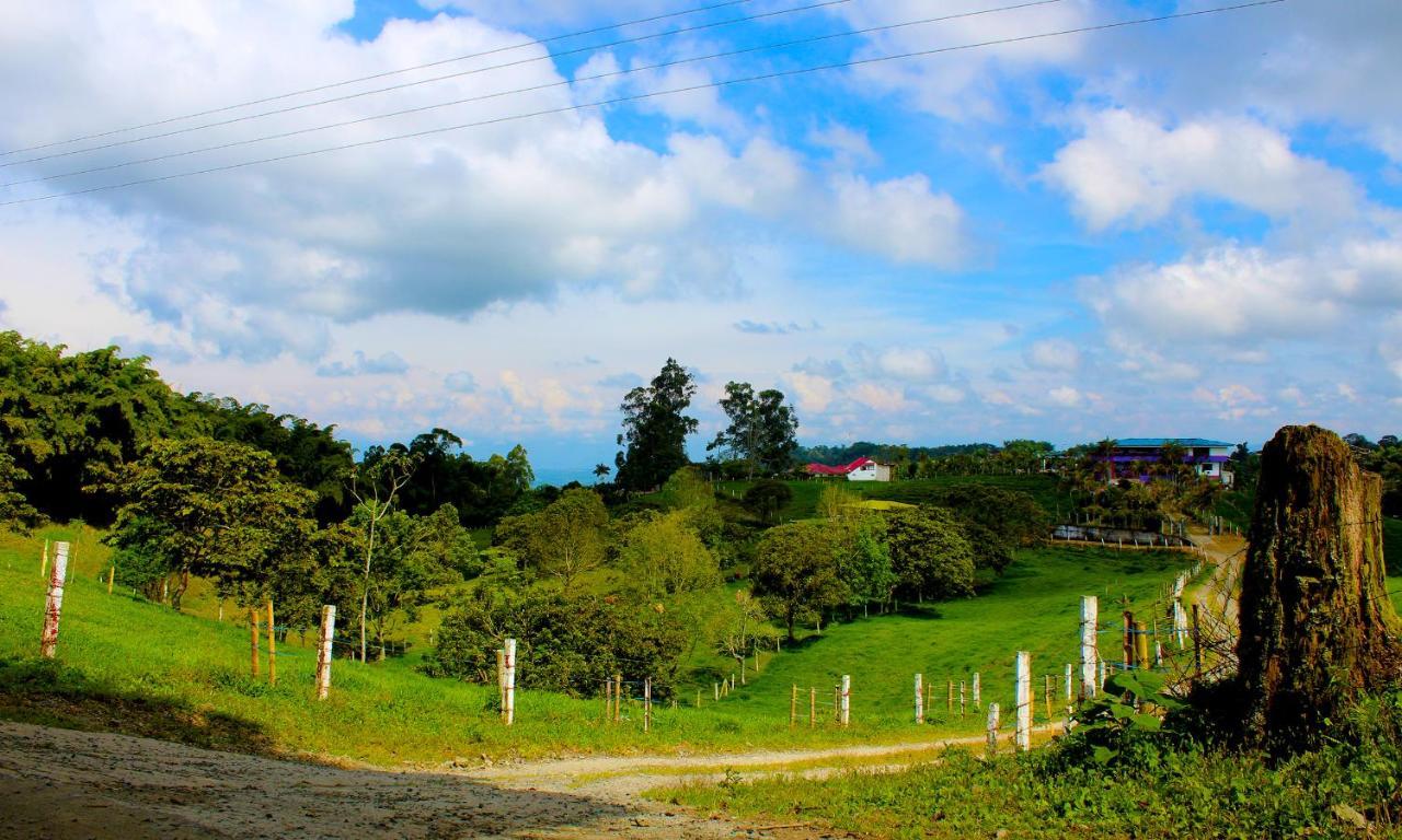 Casa Laureles Apartment ฟิลานเดีย ภายนอก รูปภาพ